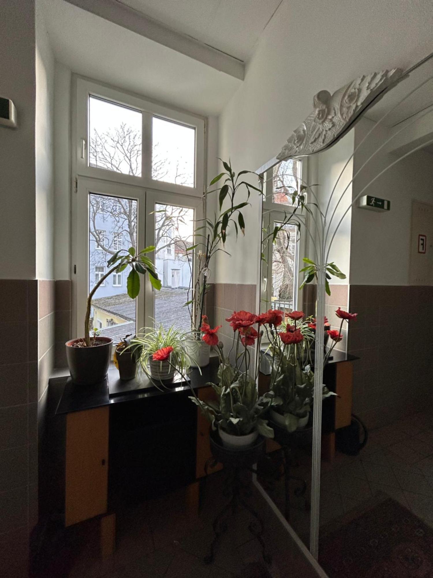 Reiner Apartment Wien Eksteriør bilde